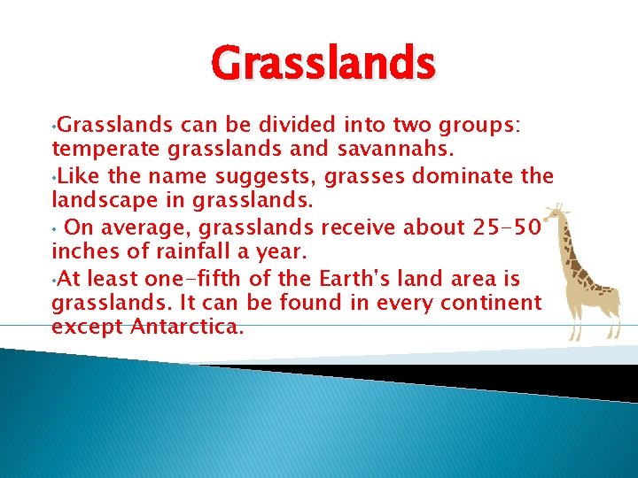 Grasslands • Grasslands can be divided into two groups: temperate grasslands and savannahs. •