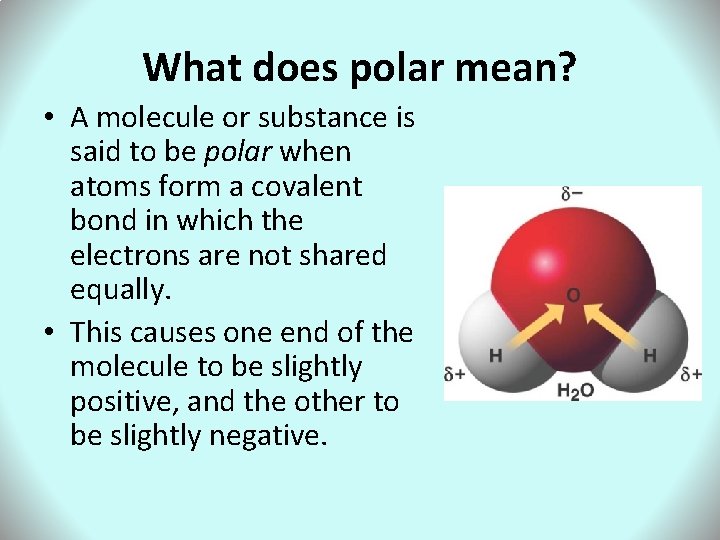What does polar mean? • A molecule or substance is said to be polar