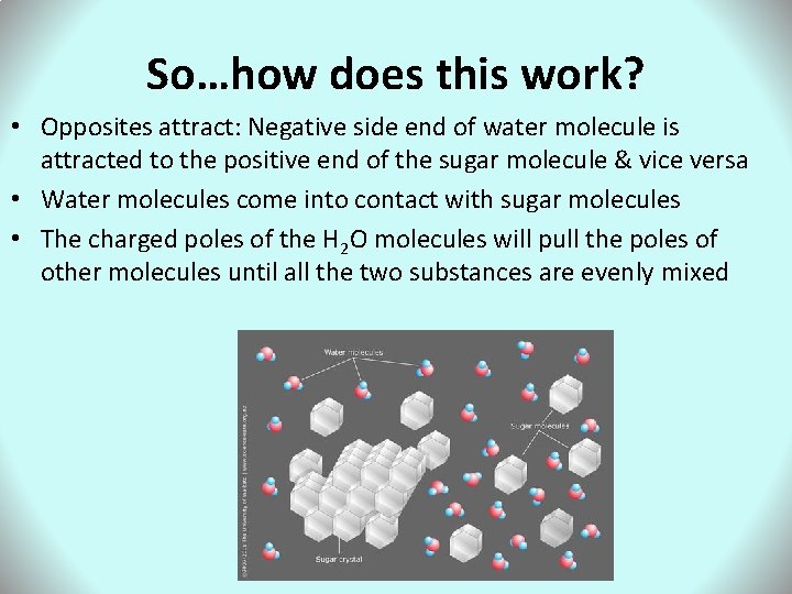 So…how does this work? • Opposites attract: Negative side end of water molecule is
