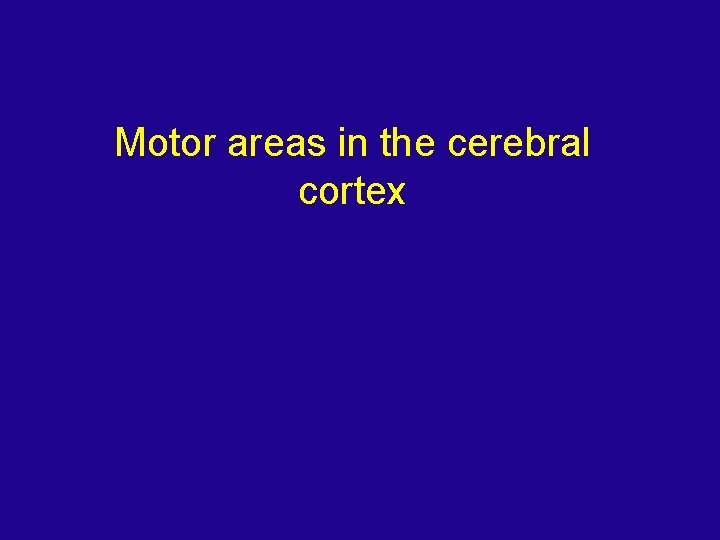 Motor areas in the cerebral cortex 