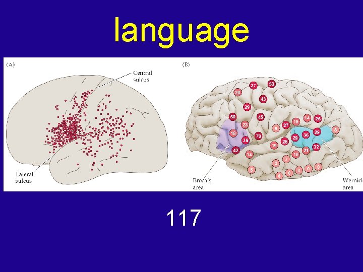 language 117 