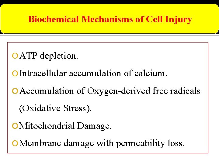 Biochemical Mechanisms of Cell Injury ATP depletion. Intracellular accumulation of calcium. Accumulation of Oxygen-derived