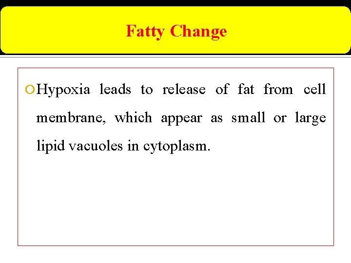 Fatty Change Hypoxia leads to release of fat from cell membrane, which appear as