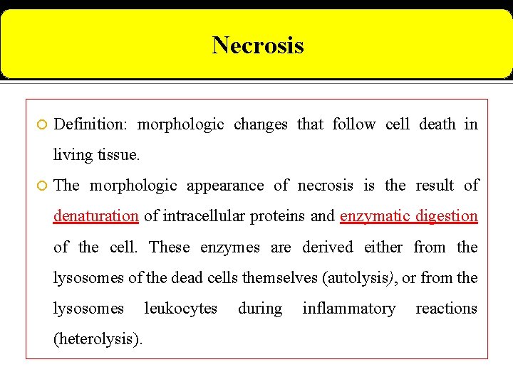 Necrosis Definition: morphologic changes that follow cell death in living tissue. The morphologic appearance