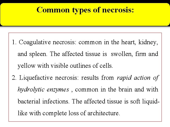 Common types of necrosis: 1. Coagulative necrosis: common in the heart, kidney, and spleen.