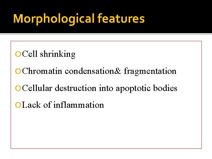 Morphological features Cell shrinking Chromatin Cellular Lack condensation& fragmentation destruction into apoptotic bodies of