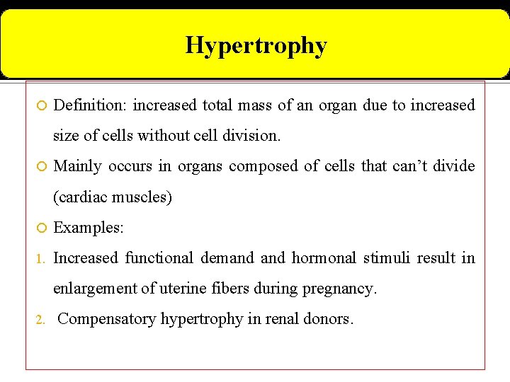 Hypertrophy Definition: increased total mass of an organ due to increased size of cells