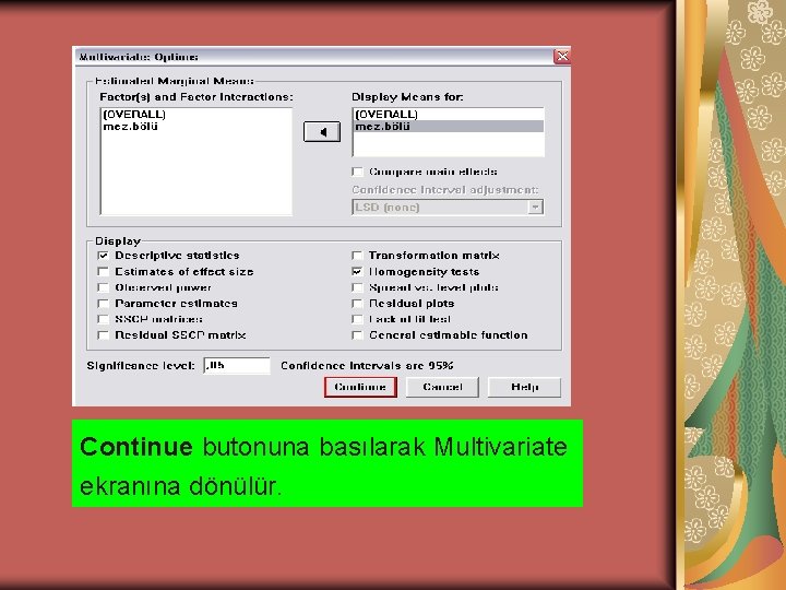 Continue butonuna basılarak Multivariate ekranına dönülür. 