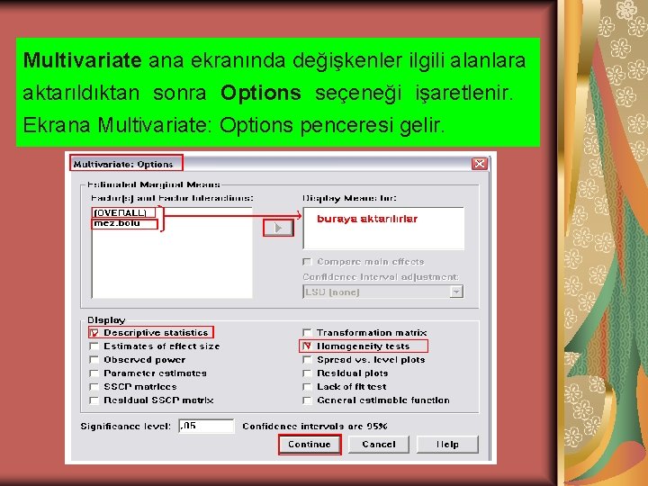 Multivariate ana ekranında değişkenler ilgili alanlara aktarıldıktan sonra Options seçeneği işaretlenir. Ekrana Multivariate: Options