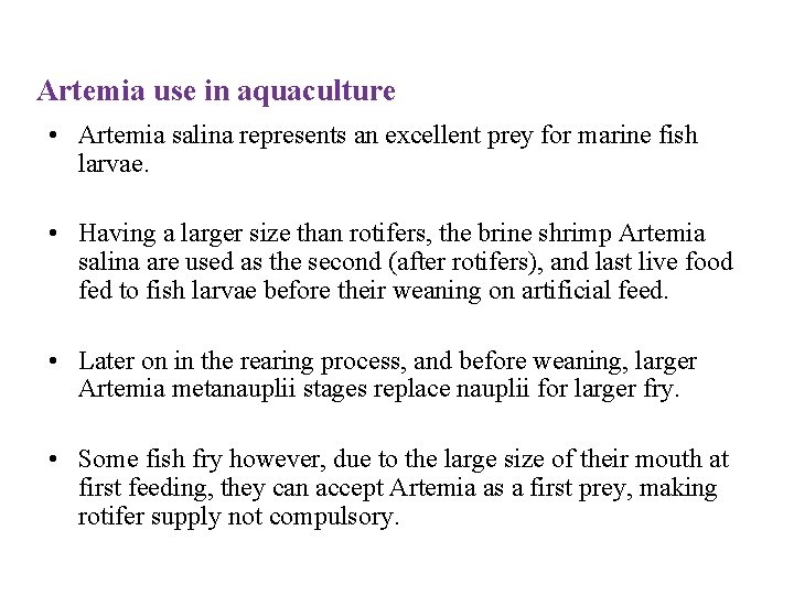 Artemia use in aquaculture • Artemia salina represents an excellent prey for marine fish
