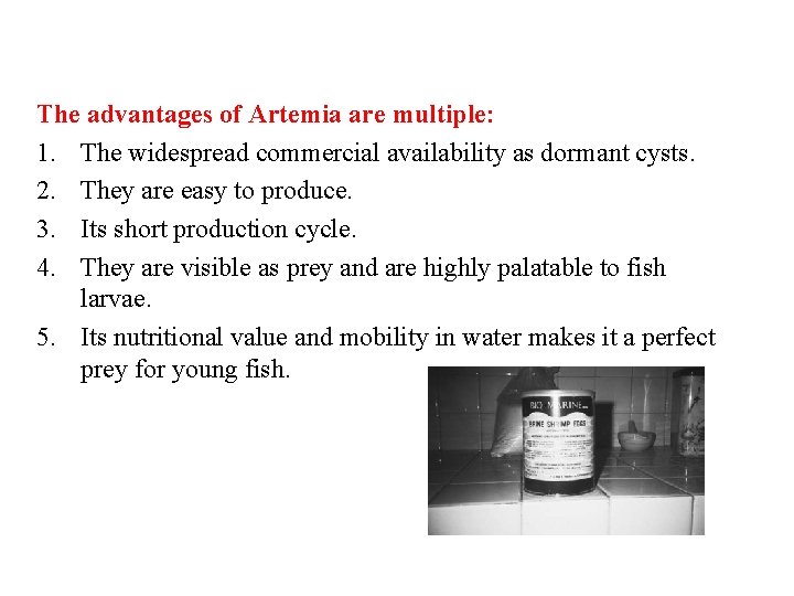 The advantages of Artemia are multiple: 1. The widespread commercial availability as dormant cysts.