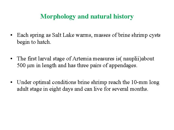 Morphology and natural history • Each spring as Salt Lake warms, masses of brine