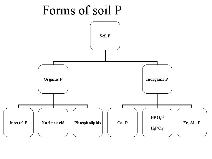 Forms of soil P Soil P Organic P Inositol P Nucleic acid Inorganic P