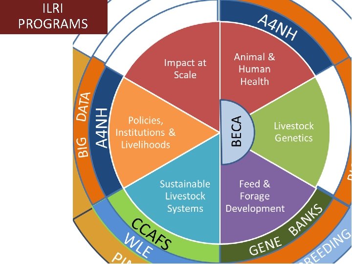 Livestock roles in addressing the Sustainable Development Goals