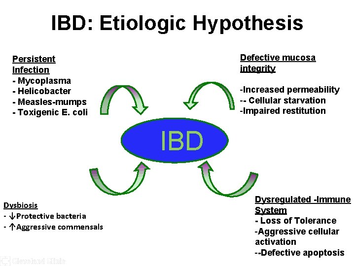 IBD: Etiologic Hypothesis Defective mucosa integrity Persistent Infection - Mycoplasma - Helicobacter - Measles-mumps