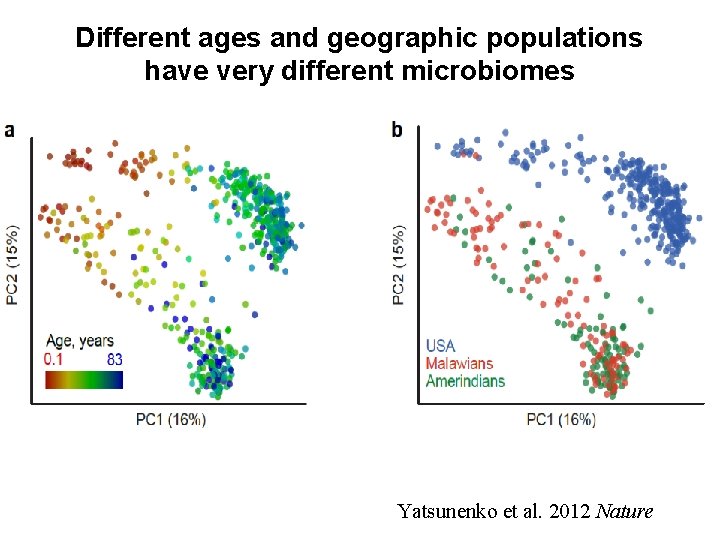 Different ages and geographic populations have very different microbiomes Age Population Yatsunenko et al.