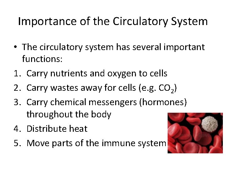 Importance of the Circulatory System • The circulatory system has several important functions: 1.