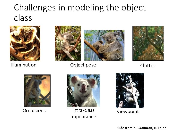 Challenges in modeling the object class Illumination Occlusions Object pose Intra-class appearance Clutter Viewpoint