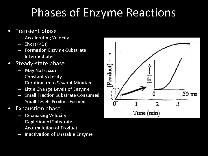 Phases of Enzyme Reactions • Transient phase – Accelerating Velocity – Short (<1 s)