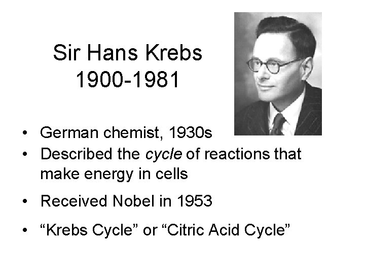 Sir Hans Krebs 1900 -1981 • German chemist, 1930 s • Described the cycle