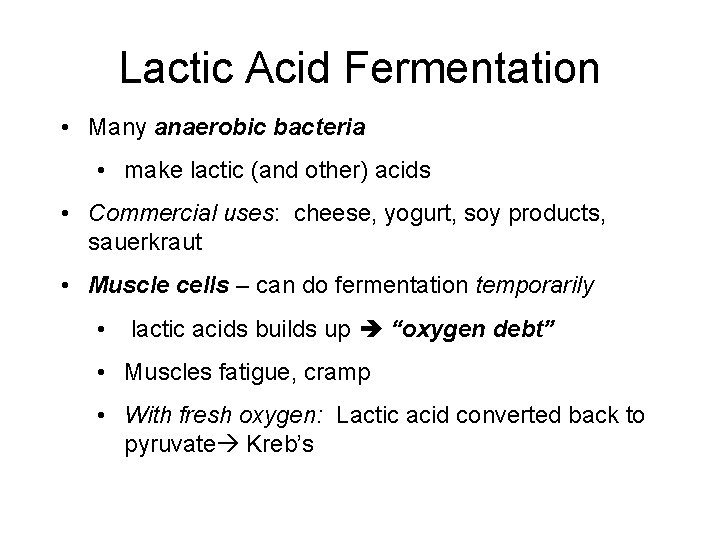 Lactic Acid Fermentation • Many anaerobic bacteria • make lactic (and other) acids •