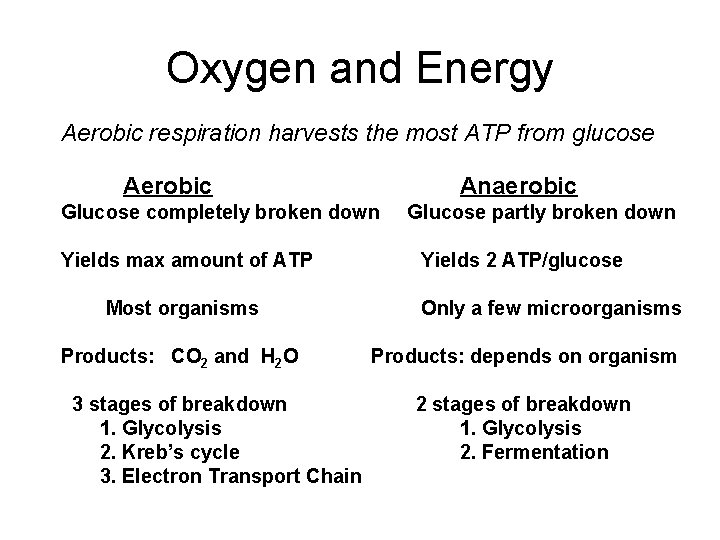 Oxygen and Energy Aerobic respiration harvests the most ATP from glucose Aerobic Anaerobic Glucose