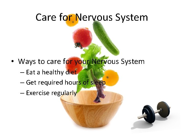 Care for Nervous System • Ways to care for your Nervous System – Eat