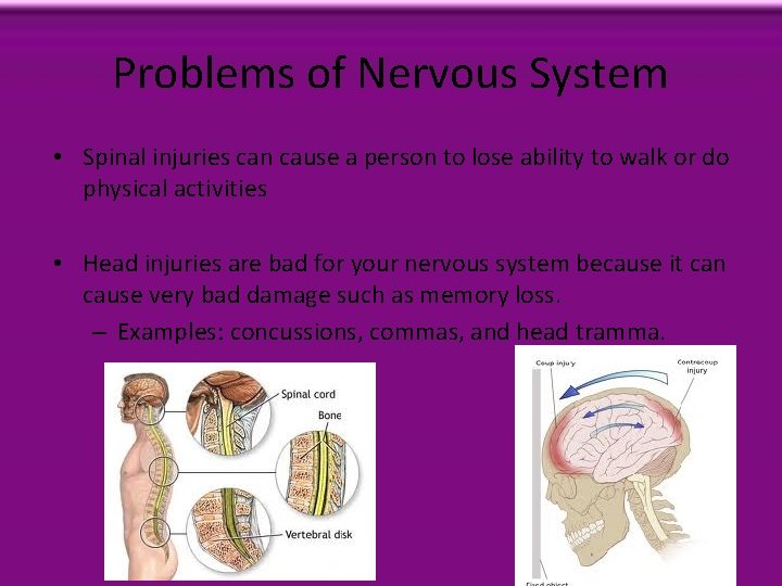 Problems of Nervous System • Spinal injuries can cause a person to lose ability