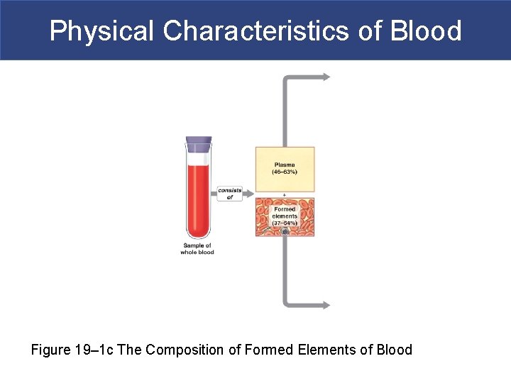 Physical Characteristics of Blood Figure 19– 1 c The Composition of Formed Elements of