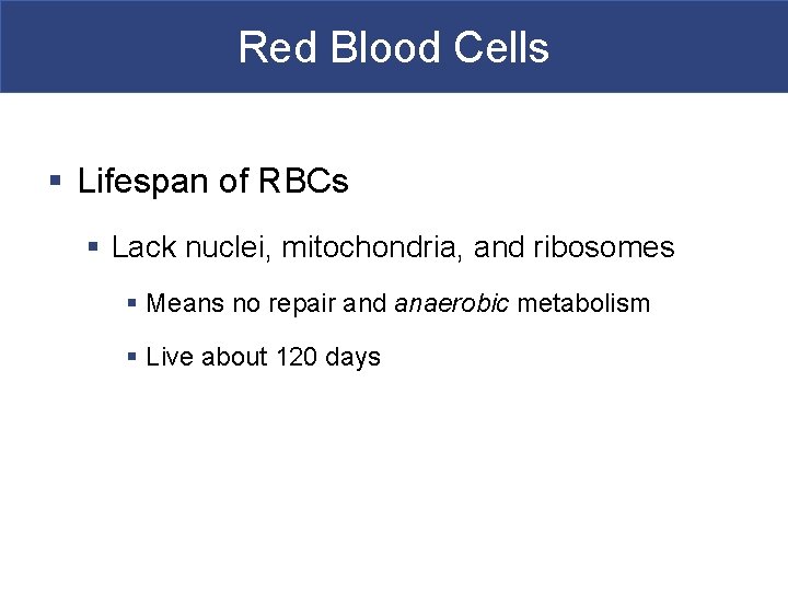 Red Blood Cells § Lifespan of RBCs § Lack nuclei, mitochondria, and ribosomes §