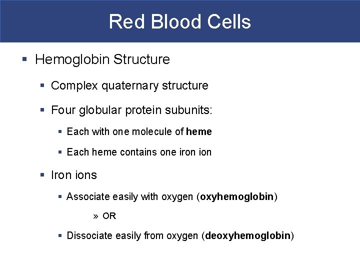 Red Blood Cells § Hemoglobin Structure § Complex quaternary structure § Four globular protein