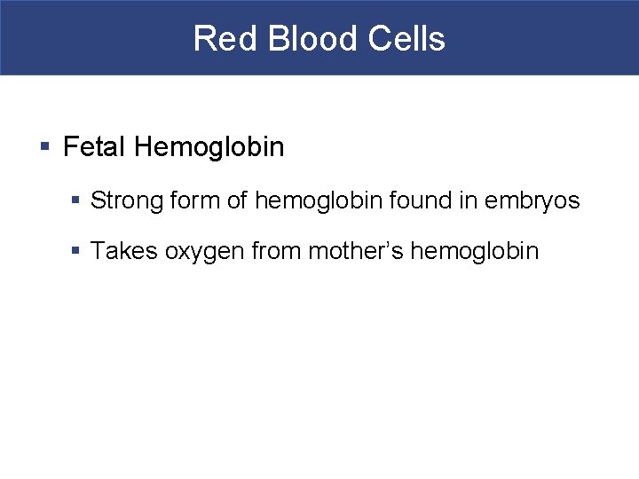 Red Blood Cells § Fetal Hemoglobin § Strong form of hemoglobin found in embryos