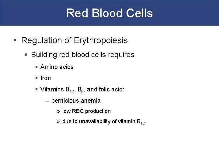 Red Blood Cells § Regulation of Erythropoiesis § Building red blood cells requires §