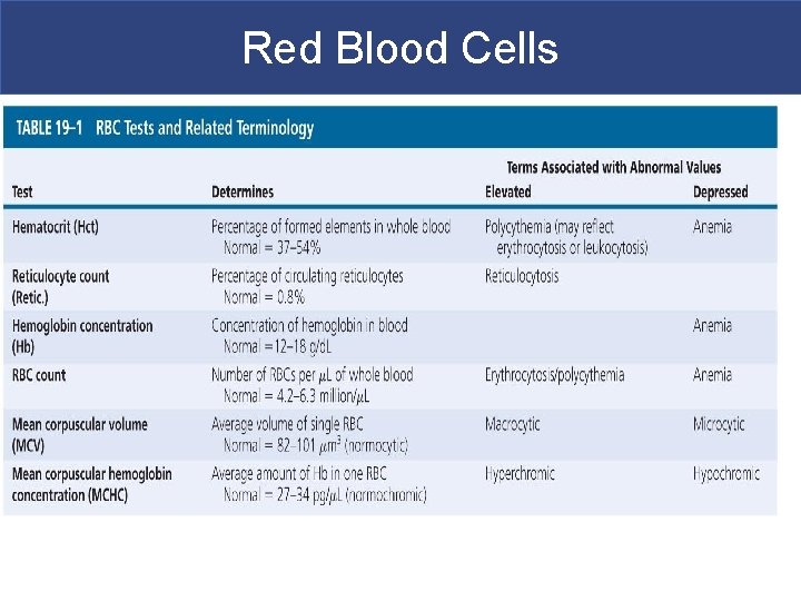 Red Blood Cells 