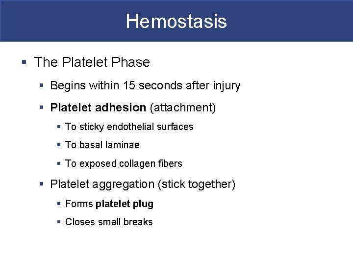 Hemostasis § The Platelet Phase § Begins within 15 seconds after injury § Platelet