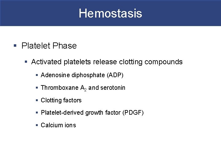 Hemostasis § Platelet Phase § Activated platelets release clotting compounds § Adenosine diphosphate (ADP)