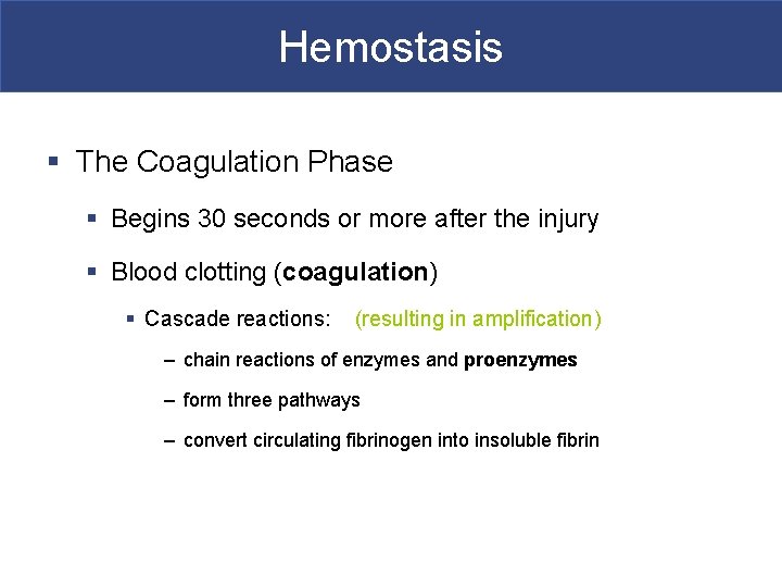 Hemostasis § The Coagulation Phase § Begins 30 seconds or more after the injury