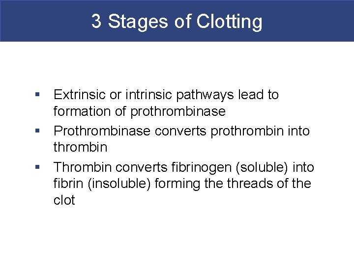3 Stages of Clotting § Extrinsic or intrinsic pathways lead to formation of prothrombinase