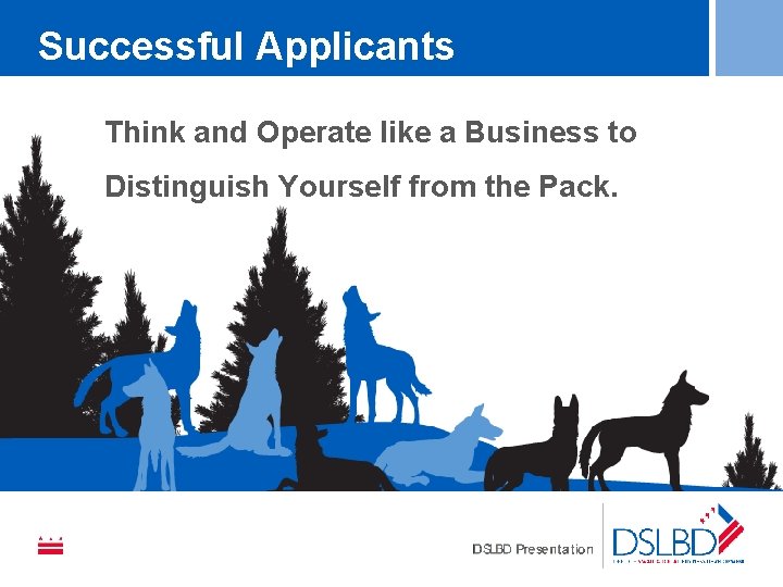 Successful Applicants Think and Operate like a Business to Distinguish Yourself from the Pack.