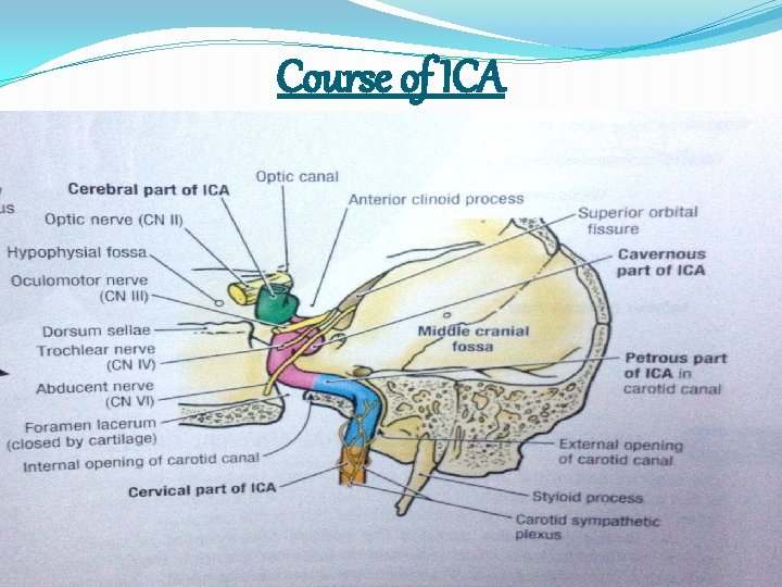 Course of ICA 