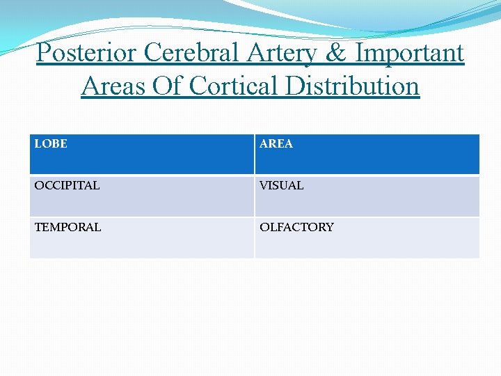 Posterior Cerebral Artery & Important Areas Of Cortical Distribution LOBE AREA OCCIPITAL VISUAL TEMPORAL