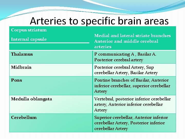 Arteries to specific brain areas Corpus striatum Internal capsule Medial and lateral striate branches