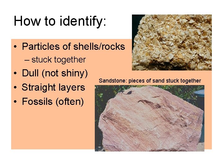 How to identify: • Particles of shells/rocks – stuck together • Dull (not shiny)
