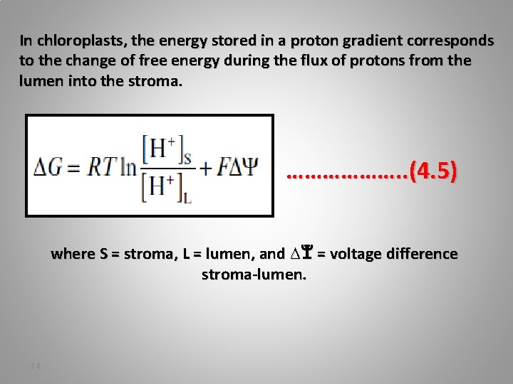 In chloroplasts, the energy stored in a proton gradient corresponds to the change of