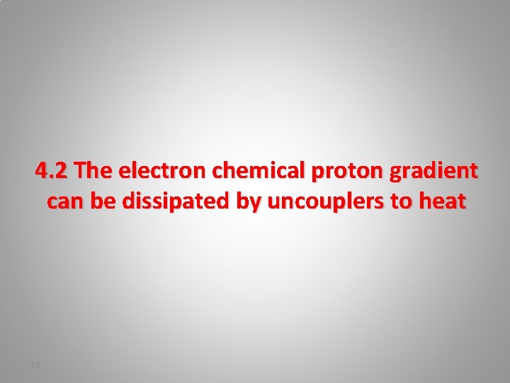 4. 2 The electron chemical proton gradient can be dissipated by uncouplers to heat