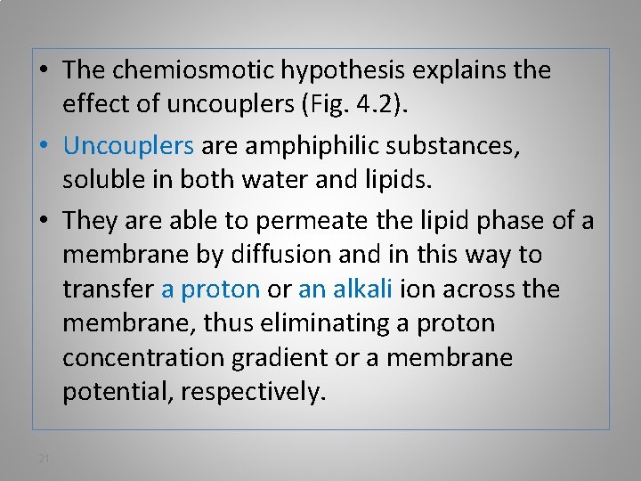  • The chemiosmotic hypothesis explains the effect of uncouplers (Fig. 4. 2). •