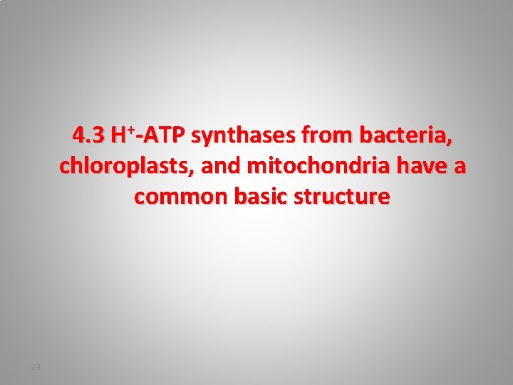 4. 3 H+-ATP synthases from bacteria, chloroplasts, and mitochondria have a common basic structure