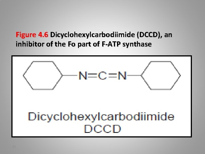 Figure 4. 6 Dicyclohexylcarbodiimide (DCCD), an inhibitor of the Fo part of F-ATP synthase