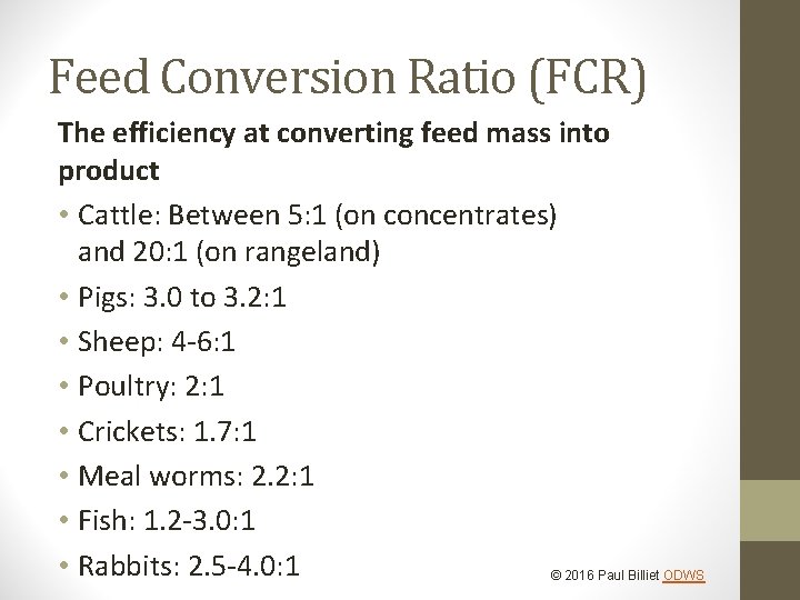 SUSTAINABLE FOOD PRODUCTION 2016 Paul Billiet ODWS World