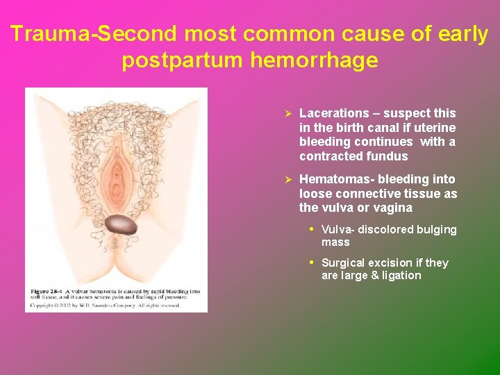 Trauma-Second most common cause of early postpartum hemorrhage Ø Lacerations – suspect this in